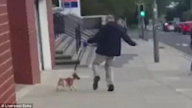 Kalimtarët ndalojnë pronarin që po e shqelmonte dhunshëm qenin e tij (Video)