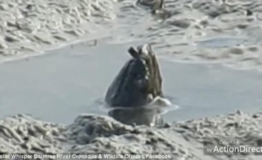 Krijesa misterioze që u shfaq në lumin e turbullt, u zhduk sapo pa njerëzit (Video)