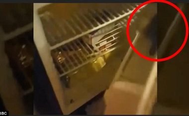 Muaji i mjaltit iu kthye në tmerr, hoteli i papastër kishte edhe minj në frigorifer (Video)