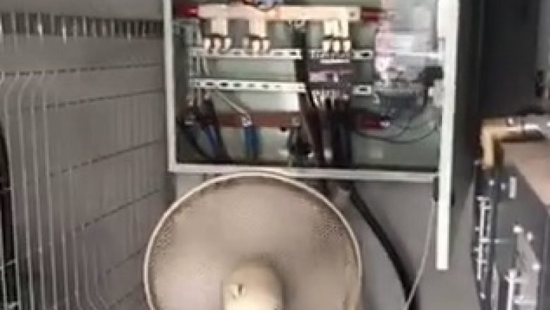 Nxehtësi e madhe në Sarandë, pushuesi tregon se si freskohen kabllot e rrymës (Video)