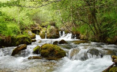 Temperaturat e larta shkaktojnë thatësi të burimeve të ujit në Koçan