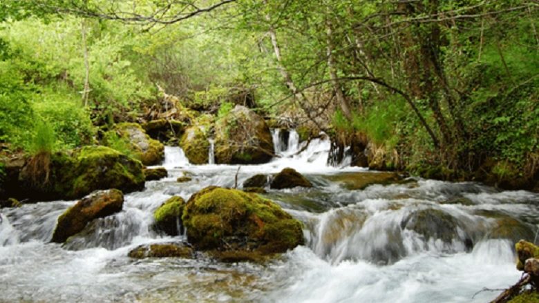 Temperaturat e larta shkaktojnë thatësi të burimeve të ujit në Koçan