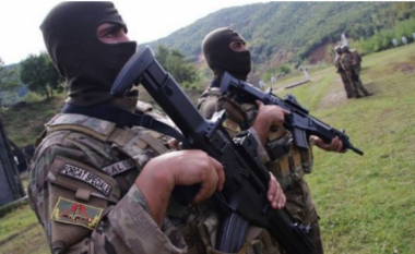 Forcat e antiterrorit në Shqipëri në gatishmëri, pas sulmeve terroriste