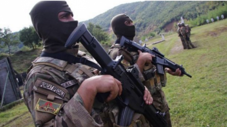 Forcat e antiterrorit në Shqipëri në gatishmëri, pas sulmeve terroriste