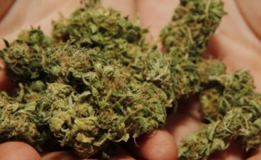 Konfiskohen rreth 515 kilogram marihuanë në “Bogorodicë”, arrestohet një person
