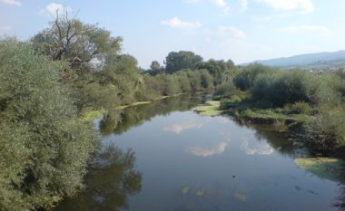 Vdekja e 31 vjeçarit afër lumit Sitnica, arrestohen dy të dyshuar