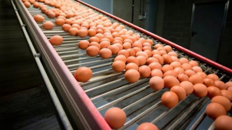 700 mijë vezë të infektuara të importuara në Britaninë e Madhe