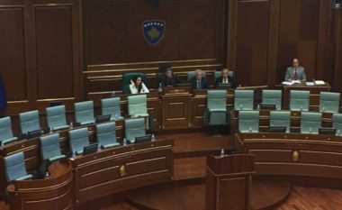Teuta Rugova përkrahu propozimin e PAN-it për shtyrje të seancës