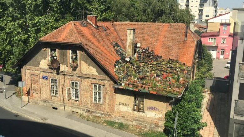 Misteri i Zagrebit: Kush po ujit lulet në çatinë e shtëpisë së braktisur? (Foto)