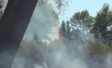 Elbasan, zjarri në Kodër Krastë bëhet alarmant