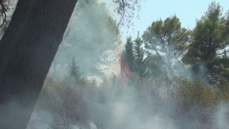 Elbasan, zjarri në Kodër Krastë bëhet alarmant