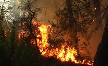 Zjarri rrezikon Kondovën, autoritet thonë se nuk duhet të shqetësohemi (Video)
