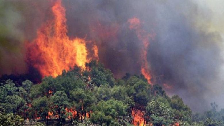 Zjarre në 13 vende të Maqedonisë