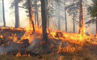 Disa zjarre akoma aktive në Maqedoni