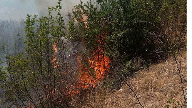 Shuhet zjarri në bjeshkët e fshatrave Koznik dhe Zatriq të Rahovecit