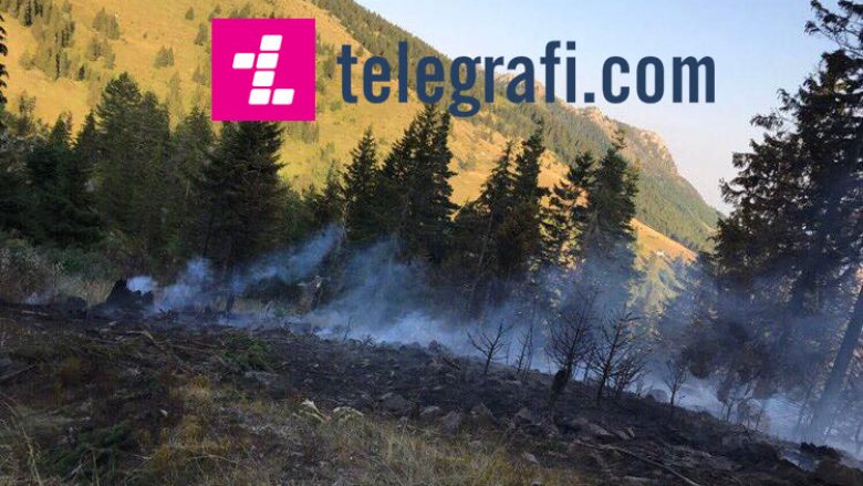 75-vjeçarja shkaktare e zjarrit në ‘Makedonski Brod’