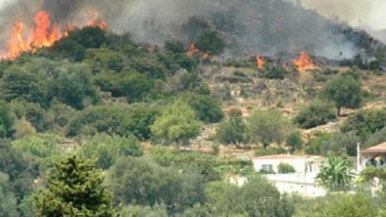 Vatrat e zjarreve, situata më problematike në Dibër (Video)