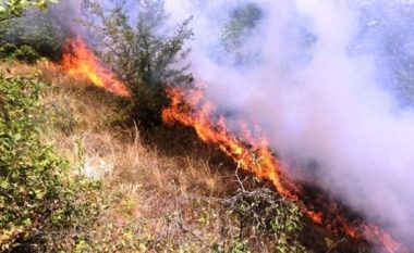 Temperaturat e larta rrezikojnë zjarret në Kosovë