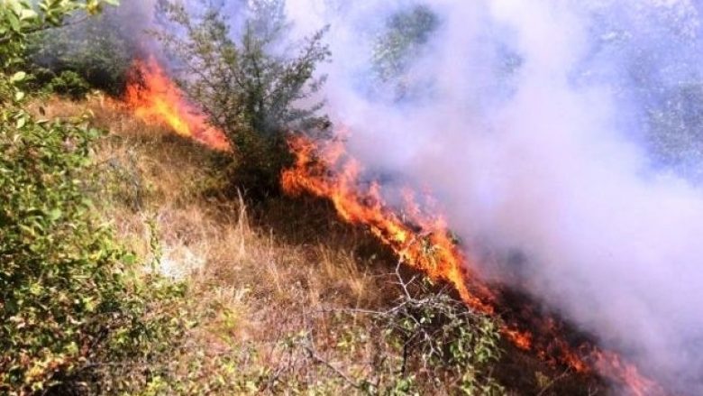 Temperaturat e larta rrezikojnë zjarret në Kosovë