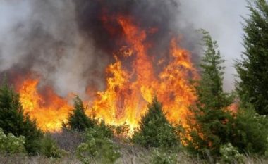 Zjarrfikësit shqiptarë dhe serbë shuajnë zjarret në veri (Video)