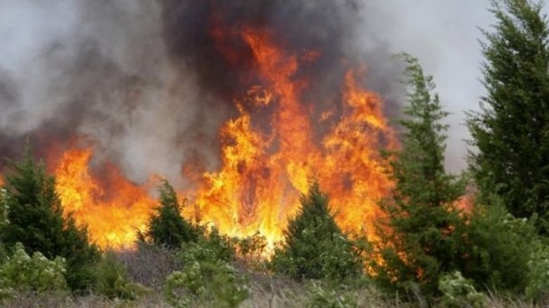 Shpërthen zjarr në disa fshatra të Gjevgjelisë