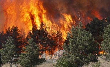 Mbi 30 të arrestuar për zjarrvënie të qëllimshme, rrezikojnë deri në 5 vite burg