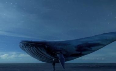 Prindër kujdes: Rikthehet loja vdekjeprurëse “Balena e Kaltër”, e cila po mbjell vdekje nëpër botë (Foto)