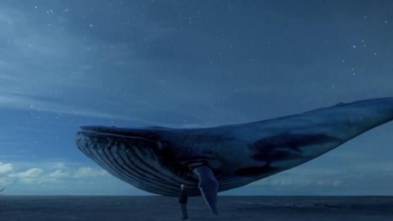 Prindër kujdes: Rikthehet loja vdekjeprurëse “Balena e Kaltër”, e cila po mbjell vdekje nëpër botë (Foto)