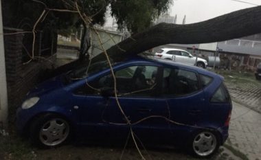 Lisi bie mbi veturë në Prishtinë (Foto)