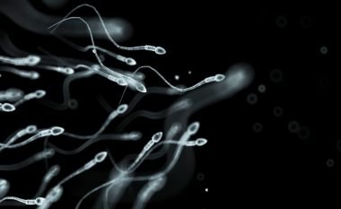 Ajri i ndotur është duke e dëmtuar kualitetin e spermës te meshkujt