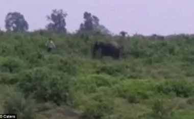 Tentoi të bëjë selfie me elefantin, kafsha gjigante e shtyp për vdekje burrin (Video, +18)