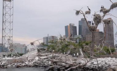 Njihuni me ishullin e vogël në zemër të New York-ut, të cilin askush nuk mund ta vizitojë (Video)