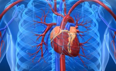 Kalciumi në arterie mund të jetë parashikuesi më i mirë i sulmit në zemër apo në tru