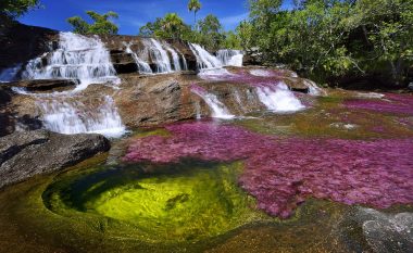 Fshehtësia e lumit më të bukur në botë: Brenda vitit ndërron pesë ngjyra (Foto/Video)