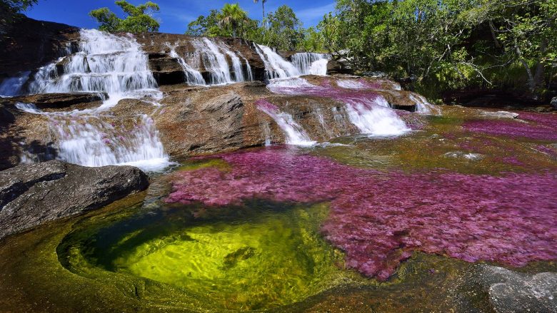 Fshehtësia e lumit më të bukur në botë: Brenda vitit ndërron pesë ngjyra (Foto/Video)