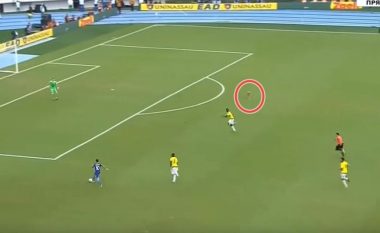 Neymar afër të shënojë gol, qeni futet në fushë dhe ndërprenë aksionin (Foto)