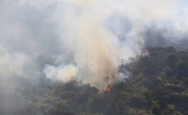 Reshjet e shiut shuajnë të gjitha vatrat e zjarrit në Shqipëri