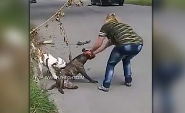 Qeni i saj në luftë të përgjakshme me një qen tjetër, pronarja nuk mundi të bënte asgjë (Video)