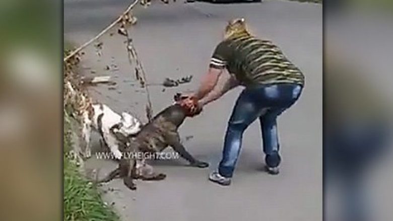 Qeni i saj në luftë të përgjakshme me një qen tjetër, pronarja nuk mundi të bënte asgjë (Video)