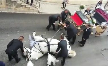 Po tërhiqte karrocën ku gjendej nusja dhe dhëndri, kali i rraskapitur shtrihet në mes të rrugës (Video)