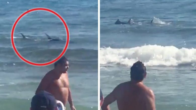 “Vetëm disa centimetra larg, por nuk e kuptuan se ishte kaq afër”: Turistët tregojnë tmerrin që përjetuan kur një peshkaqen u shfaq në ujë (Video)