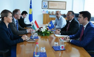Hamza priti në takim ambasadorin e Hungarisë në Kosovë
