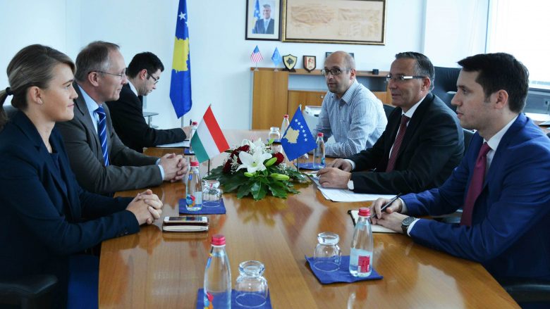 Hamza priti në takim ambasadorin e Hungarisë në Kosovë