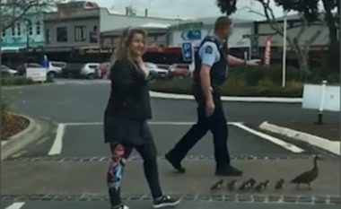 Polici ndaloi trafikun, shoqëroi rosën me zogjtë e vegjël që të kalojnë rrugën (Video)