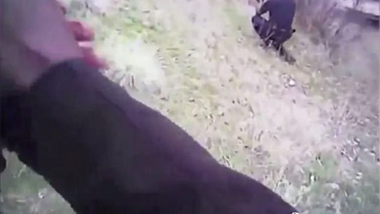 Policët qëllojnë të armatosurin që kërcënonte alpinistët dhe vriste qentë (Video,+16)