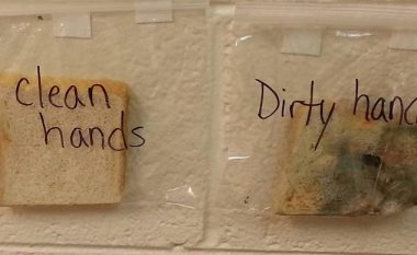 Eksperiment: Çfarë ndodhë nëse e prekni bukën pa i pastruar duart (Foto)