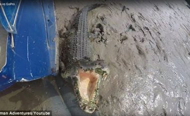 Vizitori gati e pësoi keq nga krokodili, të cilit i shkoi shumë pranë (Video)