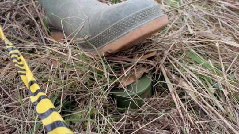 FSK largon 70 copa të minave në një pyll në Gjakovë