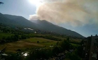 Zjarr në parkun kombëtar në Pelister, kërkohet ndihma e aeroplanëve të DMSH-së