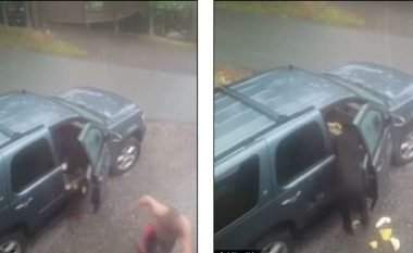 Ndodh edhe kjo: Arinjtë ngecin brenda veturës, pronari i saj ua hap derën që të dalin (Video)